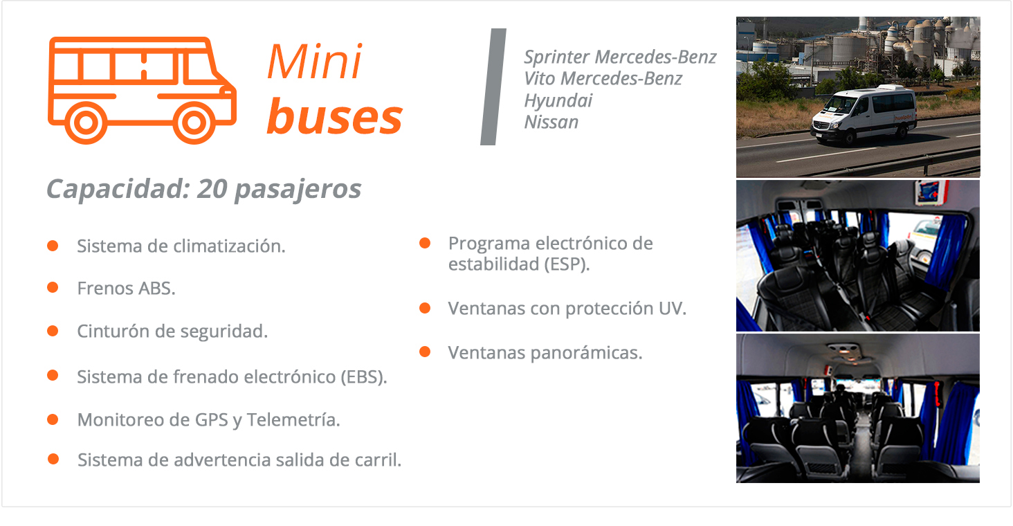 Minibus-1 Flota - Mini Bus