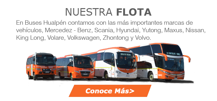 nuestra-flota-02 Buses Hualpén